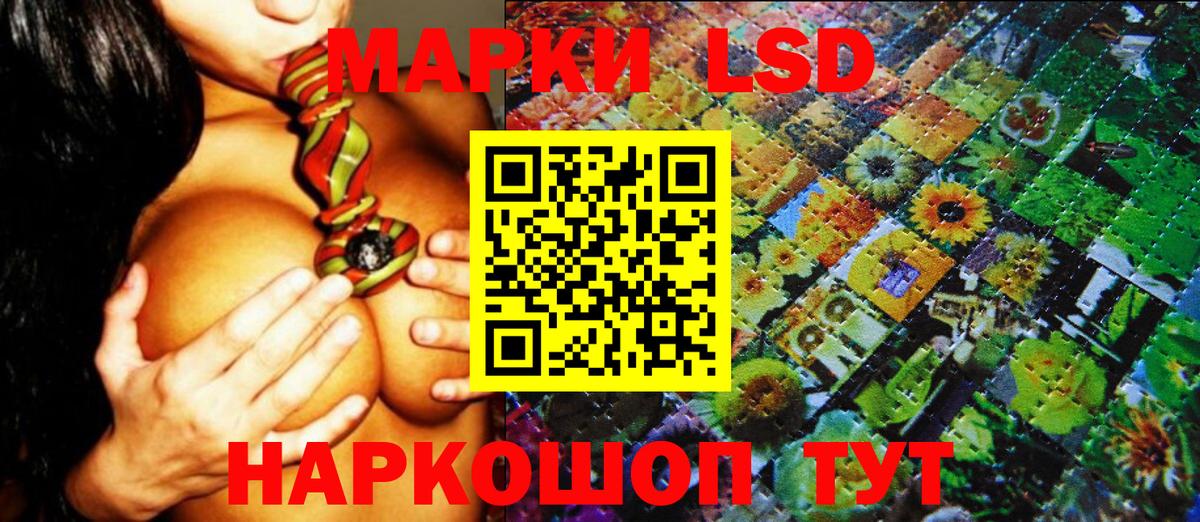 Ивантеевка  купить наркотик  Марки NBOMe  Вход с VPN  Марки N-bome 1500мкг  Марки N-bome 1500мкг 