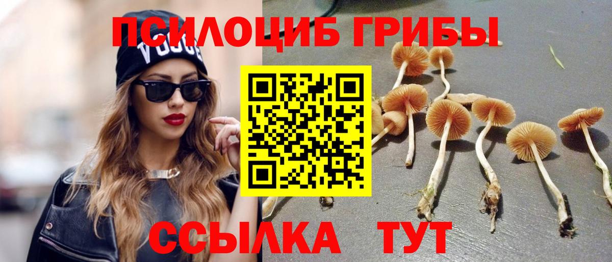 Ивантеевка  Галлюциногенные грибы мицелий  Вход с VPN 